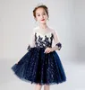 Pretty Blue/Ivory Sleeves Applique Girl's Pageant Dresses Flower Girl Dresses Princess Party Dresses Child Skirt Custom Made 2-14 H317500