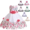 2019 Abito da sera formale in pizzo Abito da sposa Tutu Abito da principessa Ragazze di fiore Abbigliamento per bambini Festa per bambini Per vestiti per ragazza bLE2387880956