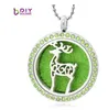 Fashion-Colorful Deer 30mm Round Glossy Magnet kan vara öppen 316L Stainless Steel Perfume Pendant Fit Halsband utan kedja