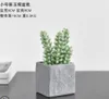 Cactus enfeites de vasos de simulação de plantas verdes desktop interior flores falsas suculentas ins decorações Nórdicas