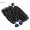 Brésilien Peruvian malaisien Indien Vierge Vierge Curly 3 Bundles avec fermeture frontale 13x4 Frôture 10A Grade Human EXTENSIO8171522