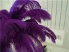En gros Livraison gratuite 100pcs / lot 18-20 pouces (45-50cm) plumes d'autruche violettes plumes pour pièce maîtresse de mariage décor de plumes décor de mariage