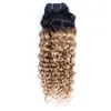 T1B27 faisceaux de cheveux ondulés miel blond avec racines foncées 3pcs vierge brésilienne indienne péruvienne malaisienne extension humaine 1321885