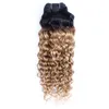 T1B27 water wave hair bundles honey blonde with dark roots 3pcs virgin Brazilian Indian Peruvian Malaysian human extension1321885