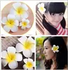 Handmade Plumeria Artificial Foam Frangipani Flower Fake Egg Flower for Wedding Coarge Headpiece Party Home Decoration 4/6/8/10cm
