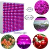 Indoor Grow Lights Blue Red LED 45W Plants Growing Hydroponics Greenhouse
