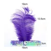 20 pcs Avestruz Feather Headband Party Fontes 1920's Flapper Lantejoulas Charleston Traje Ostrich-Feather Elastic Lantejoulas Cinto Headbands Indian Hairband