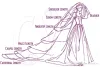 2 Tier Cathedral Wedding Veils 3D Butterfly Appliques Veils for Bride Comb Ivory Cathedral two Tier Lace Appliques with Comb6801802