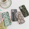 Custodia per telefono Snake per iPhone 11Pro/11/11Promax XS/X XR XSMAX 7P/8P 7/8 6p/6sp 6/6s Shell Protective Snake Snake Skin Pattern Cover