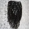 Clip rizado rizado en extensiones de cabello humano 4B 4C Cabello natural humano brasileño 3B 3C Clip Ins 100g Clip brasileño ins
