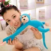 Monkey Plush Toys Niemowlęce Kolor Kolor Long Arm Tail Monkey Dolls Toddlers Cartoon Companion Toy Kids Party Favor Decor Cls7864876628