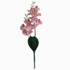 2019熱い販売リアルタッチ家の装飾の人工的なPhalaenopsis蘭の花の配置セラミックの花を持つ小さな盆栽の植物