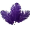 100 stycke, 15-20cm (6-8 tum) Real Natural Ostrich Feather Home Decor DIY Craft Ostrich Feathers Party Wedding Decorations Feather