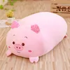 Kawaii Soft Animal Cartoon Cartoon Cushion Cute Fat Dog Cat Totoro Penguin Pig Frog Toy Toy Stuffed Bovely Diderday GIDED 3239270