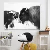 Black White Highland Cow Cattle Canvas Art Nordic Paintings Poster y impresión Imagen de pared escandinava para sala de estar308b