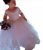 Little Girl's Pageant Wedding Dresses For Flower Girls Lace Appliced ​​Long Sleeves Princess Kids Toddder Party Födelsedag Formella bollklänningar Första nattvarden Al2385