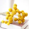 5 pcs Dried Flower Craspedia Billy Balls Wedding Bouquet Flower Branch Home Decoration Christmas Wreath DIY no vase