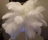 Wholesale 16-18inch / 40-45cm White Ostrich feather for wedding centerpiece party decoraction event festive decor supply