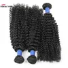 Brésilien péruvien malaisien des cheveux vierges indiens kinky bouclés 3 faisceaux avec une dentelle de 13x4 fermeture frontale 10A Grade Extensions de cheveux humains