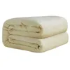 Herfst en Winter Flanel Wool Deken Warm Zachte Koraal Fleece Deken Beddengoed Volwassen Solid Bed Cover Sofa Bed Cover