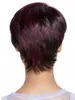 Black Mix Bourgondië Korte Shuowen Synthetisch Haar Pruiken Simulatie Menselijke haren Pruiken Perruques de Cheveux Humains Pelucas SW-WIG-70