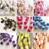 100pc/Color DIY Artificial Silk Camellia Rose Fake Peony Flower Head 3cm For Wedding Party Home Decorative Flowewrs 70Colors XD20211