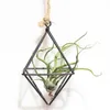 support d'air de la plante suspendue tillandsia plantes d'air rack métal géométrique fer art fleur jardinière accessoires de jardinage en pot à la maison décoration de bureau à la maison