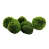 5 peças Marimo Musgo Bola Plantas de Aquário Terrário Cladophora Ornamentos para Tanque de Peixes231q