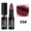 12 cores Matte Lipstick Hidratante Lip Gloss Waterproof Maquiagem Batom Nude Lip Balm J1010