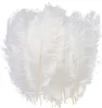 200 Pcs NOUVEAU Par lot 10-12 pouces Blanc Plume D'autruche Plume Artisanat Fournitures De Table De Noce Centres De Table Décoration Livraison Gratuite