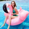 195 * 200 * 120 cm piscine de loisirs cygne géant gonflable eau flottant rangée videurs gonflables enfants jeu d'eau jouet flottant tubes de bain flotteur cygne