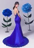 Royal Blue Mermaid aftonklänningar Sexig V Neck Backless Applicies Lace Prom Gowns Sweep Train Special OCN Formal Dress 0430