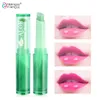 Chroń krem ​​nawilżający odżywcze lipbalm makijaż aloesowy szminka Plant Plant Women Temperatura Chang Kolor Lip Stick5261865