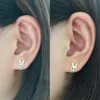 Hip Hop Cute Rabbit Animal Screwback Stud Earring Ear Bone Nail Jewelry Inget blekning Inga allergier Säker sömn utan att plocka bling zirkonsmycken