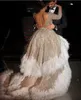 Backless Ball Gown Wedding Dresses Långärmad V Neck Appliques Feather Tulle Bridal Gowns Court Train Vestidos de Novia