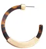 Fashion Bohemia Acrylic Acetate Hoop Charm Earrings for Women Vintage Leopard Print Circle Hoops Alloy Earring za jewelry Female