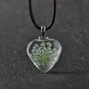 Nieuwe Hartvormige Glas Gedroogde Bloem Ketting Hanger Dan624 Mix Order Pendant Necklaces