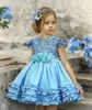2020 Mavi Yarışması Abiye mücevher Kolsuz Aplike Dantel El Yapımı Çiçek Kız Çiçek Kız Elbise Katmanlı Custom Made Sıcak Satış Doğum Abiye