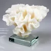 Escultura de flor de coral Mascarello en base de cristal transparente, adorno de coral blanco de poli-resina Tablero de playa decorativo Estatuilla de coral Arte Inicio D