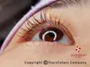 IconSign mini eyelash perm kit lash lyft cilia förlängning perming set med pods lim curling och näringsrika tillväxt behandlingar