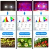 Przełącznik COB Design 1000 W Pełny spektrum Podwójny Chip Light Source UV IR Roślin Wzrostu Lampa Wewnętrzna Szklarnia do roślin leczniczych