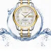 Carnaval suíça relógio mecânico masculino safira aço à prova dwaterproof água relógios masculinos marca superior erkek kol saati reloj relógios