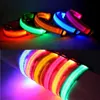 Hundhalsband Nylon LED-hundhalsband för husdjur Nattsäkerhet Blinkande Glow In The Dark Hundkoppel Hundar Lysande fluorescerande halsband Djurtillbehör