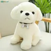 Mignon Simulation chien en peluche jouet en peluche chien Shiba Inu Husky berger chien bouledogue Schnauzer peluche jouet enfants poupée fille cadeau 2554202