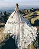 Boho Beach Ball Gown Butterfly Suknie Ślubne Off Cathedral Cathedral Train Eleganckie Afryki Suknie Ślubne 2020 Corset Rates de Mariée