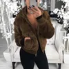 Kvinnor Plush Fake Fur Hooded OuterWear 19SS Pocket Hoodie Coat Warm Sweater Outdoor Casual Solid Outwear Varm Kort Jacka Overcoat LJJA3012