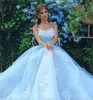 Голубое бальное платье Quinceanera платья 2020 чистые шеи без спинки аппликации выпускной вечеринки сладкий 16 платье на день рождения vestido de 152418204