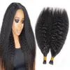 Cheveux indiens vierges à la kératine Stick Tip I Tip Extensions de cheveux humains Kinky Curly Straight Pre Bond Extension de cheveux Naturel Noir Brun 7973439