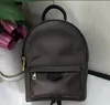 Zaini primaverili Mini zaino Borsa in pelle di alta qualità Tracolla regolabile Borsa solida in pelle bovina Borse da donna alla moda