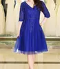 Elegant Blue Plus Size Mother of the Bride Dresses V-Neck Half Sleeves Zipper Back Applique with Beads Cheap Party Dress
